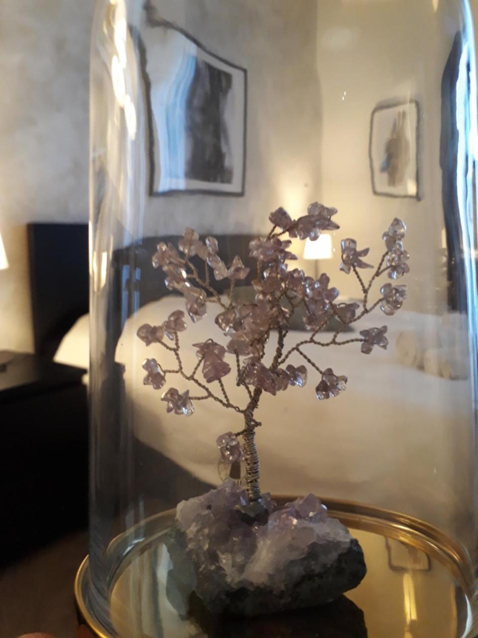 Etnea Street Apartment Katanya Dış mekan fotoğraf